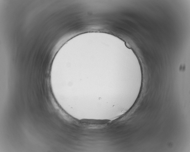 X0000112491440200909281123