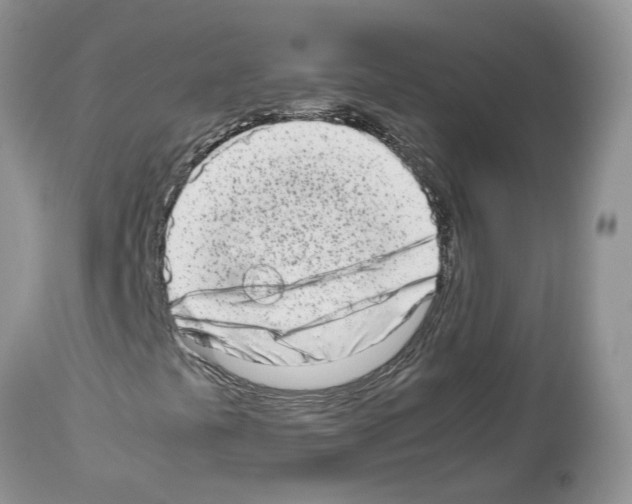 X0000112491441200909281122
