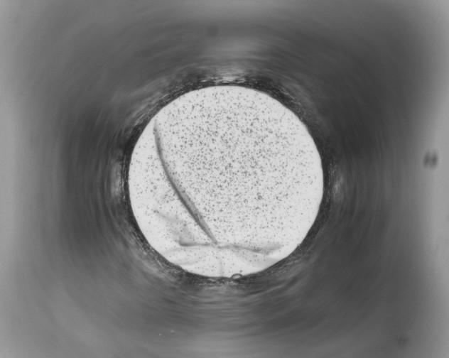 X0000112491442200909281122