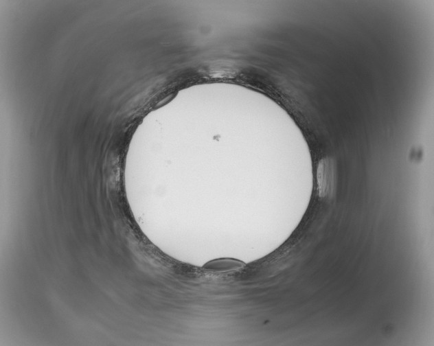 X0000112491443200909281122