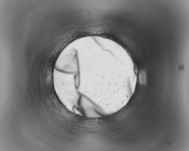 X0000112491444200909281122