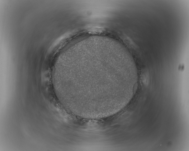 X0000112491445200909281122