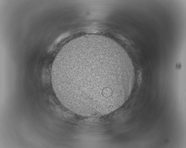 X0000112491446200909281122