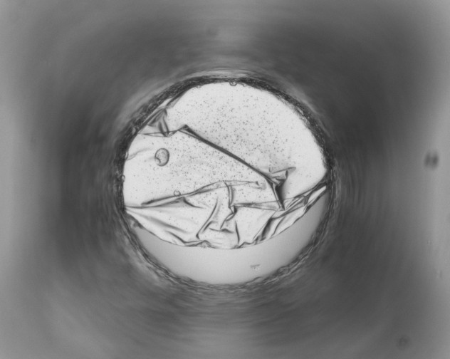 X0000112491448200909281122