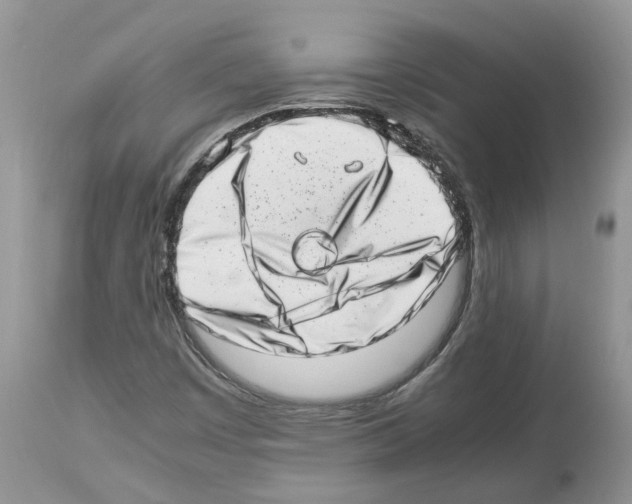 X0000112491449200909281122