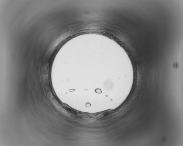 X0000112491450200909281122