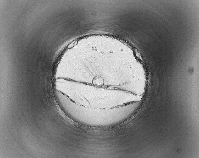 X0000112491452200909281122