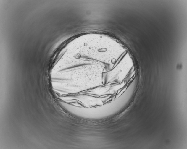 X0000112491453200909281122