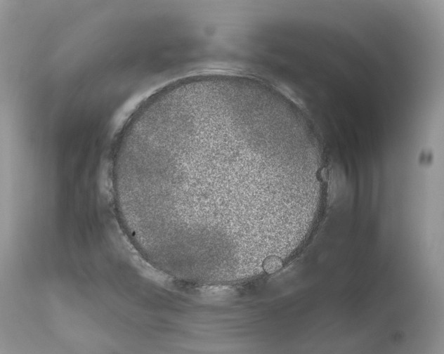X0000112491454200909281122