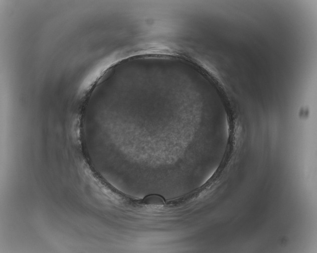X0000112491455200909281122