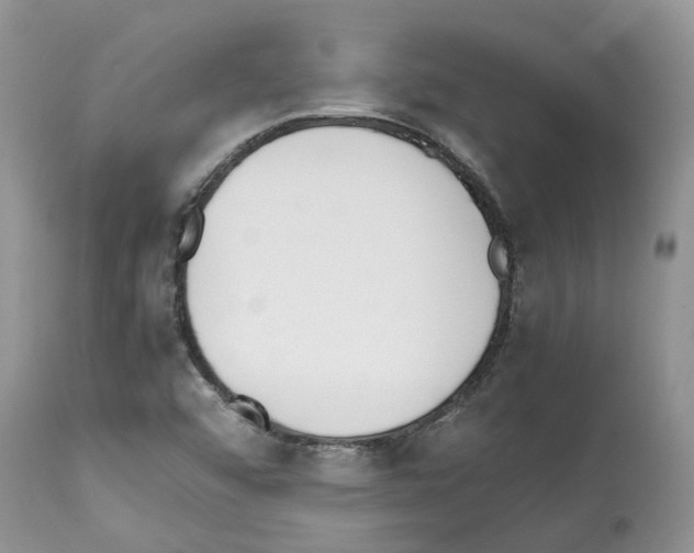 X0000112491456200909281122