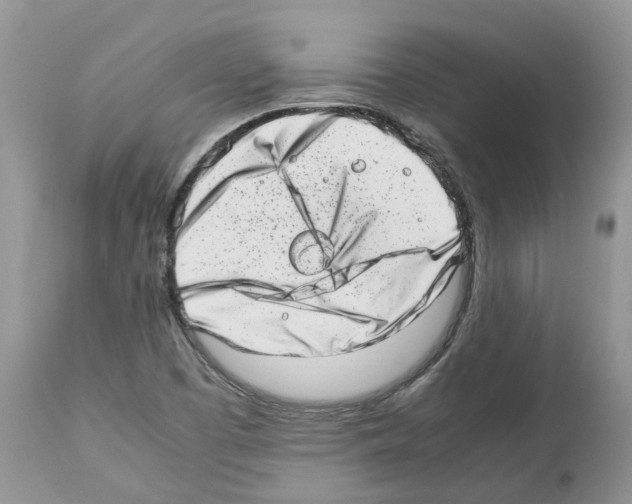 X0000112491457200909281122