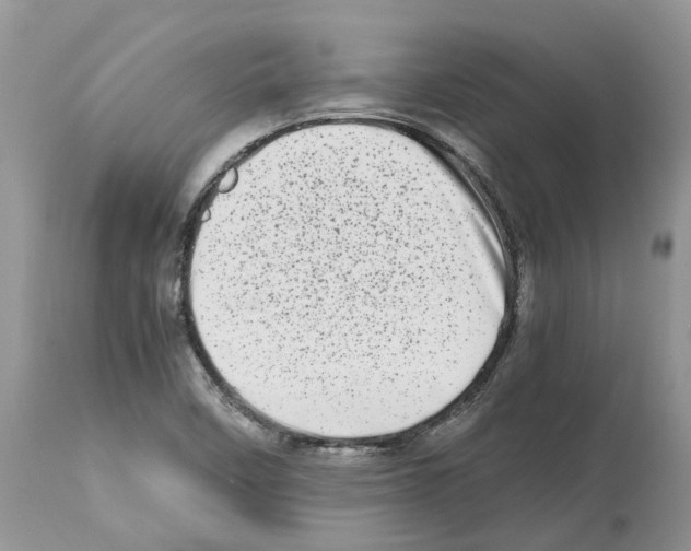 X0000112491458200909281122