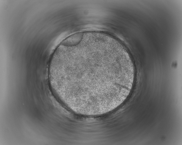 X0000112491459200909281122
