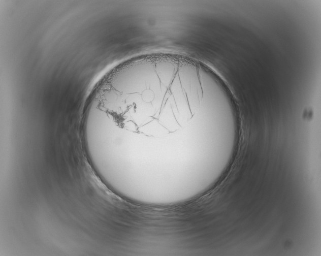 X0000112491460200909281122