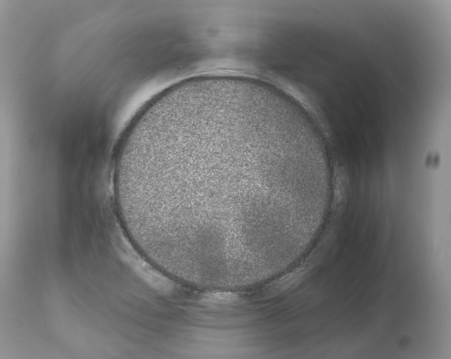 X0000112491462200909281122
