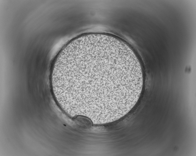 X0000112491464200909281122