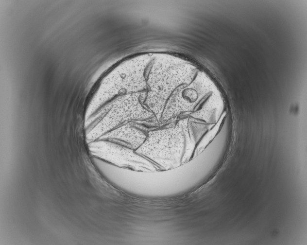 X0000112491465200909281122