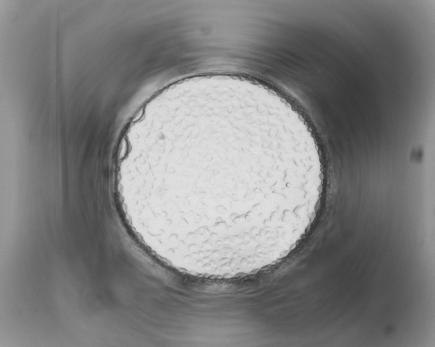 X0000112491467200909281122