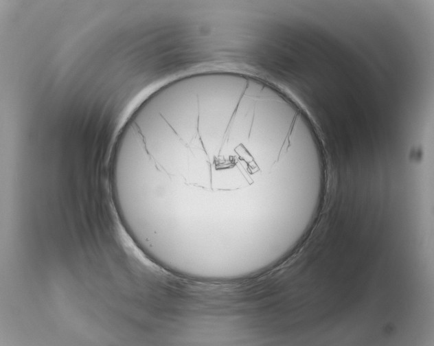 X0000112491468200909281122