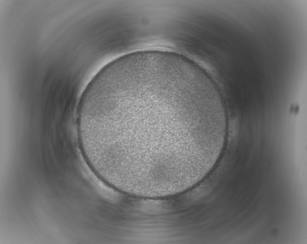 X0000112491470200909281122