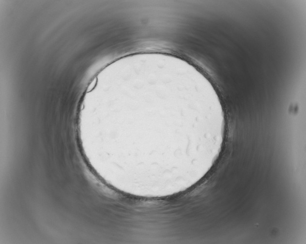 X0000112491471200909281122