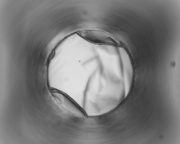 X0000112491472200909281122
