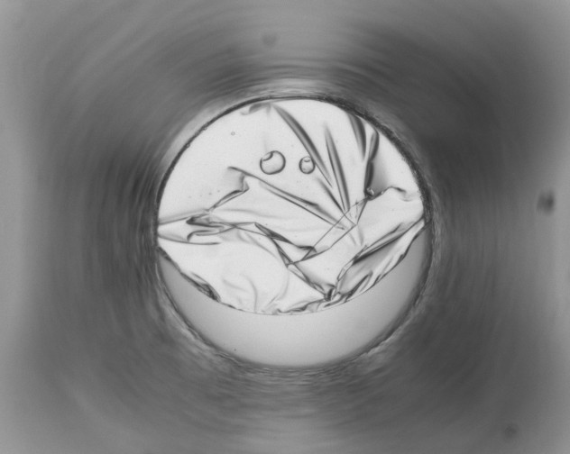 X0000112491473200909281122