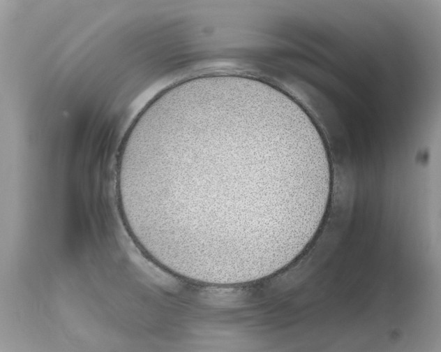 X0000112491474200909281122