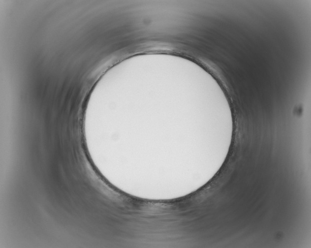 X0000112491475200909281121