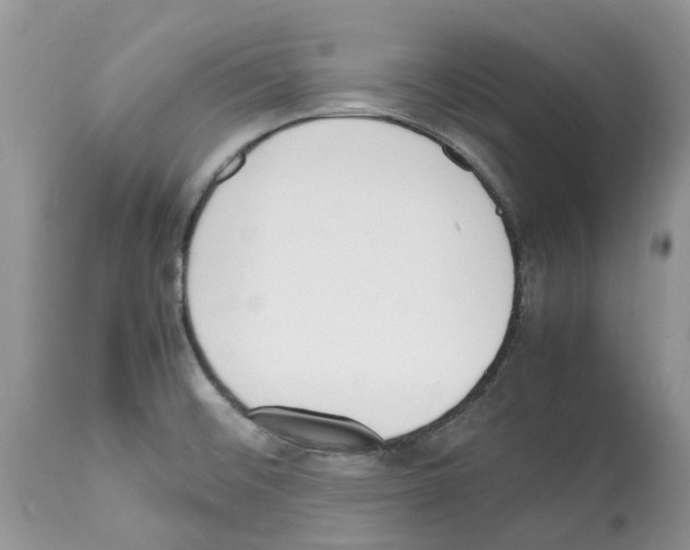 X0000112491476200909281121