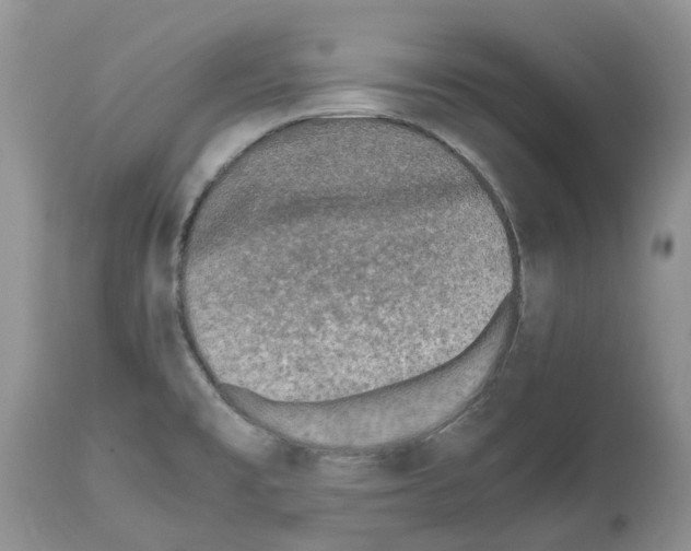 X0000112491477200909281121