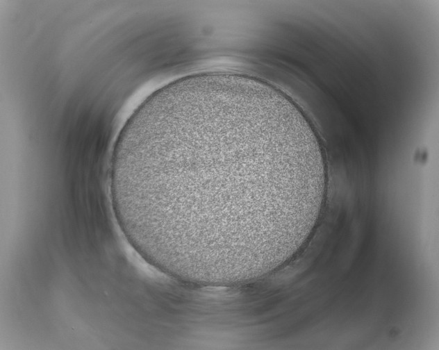 X0000112491478200909281121