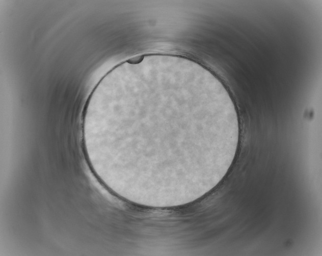 X0000112491479200909281121
