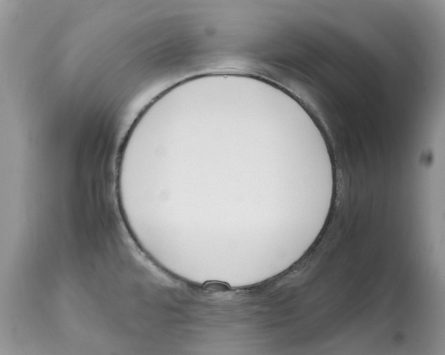 X0000112491480200909281121