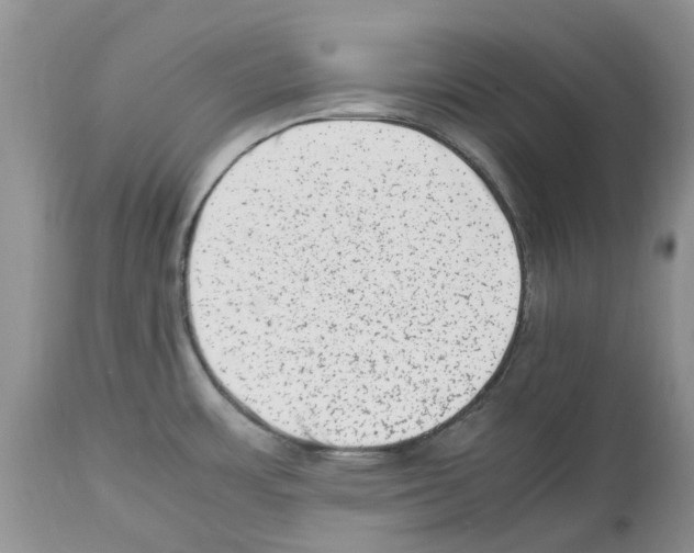 X0000112491483200909281121