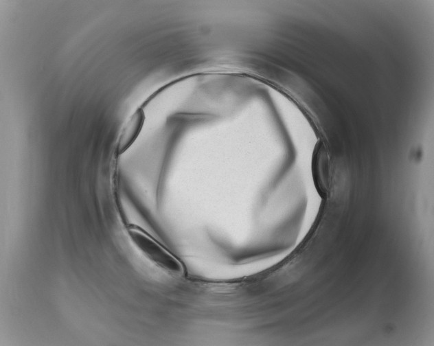 X0000112491484200909281121