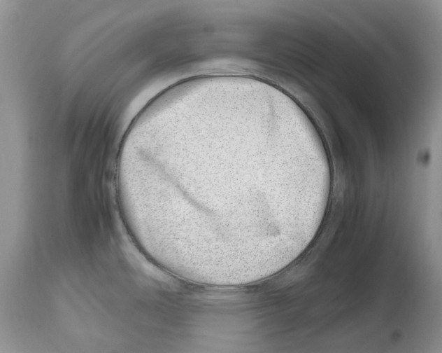 X0000112491486200909281121
