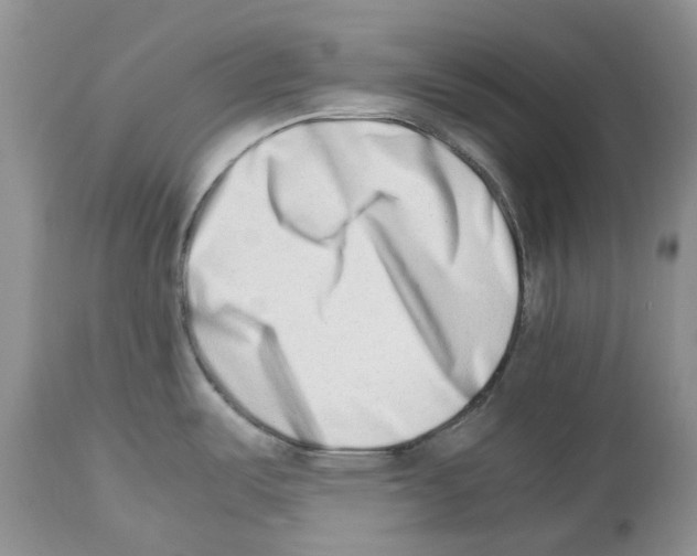 X0000112491487200909281121
