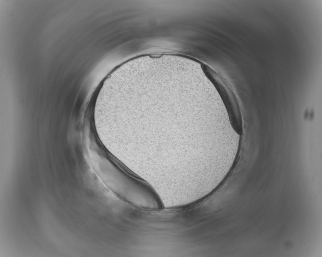 X0000112491488200909281121