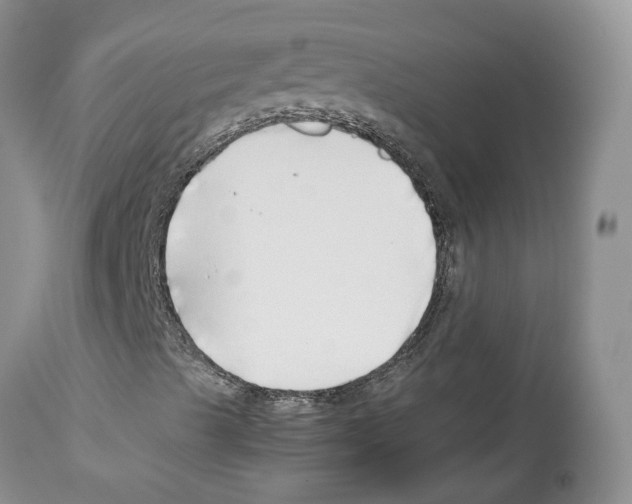 X0000112491489200909281120