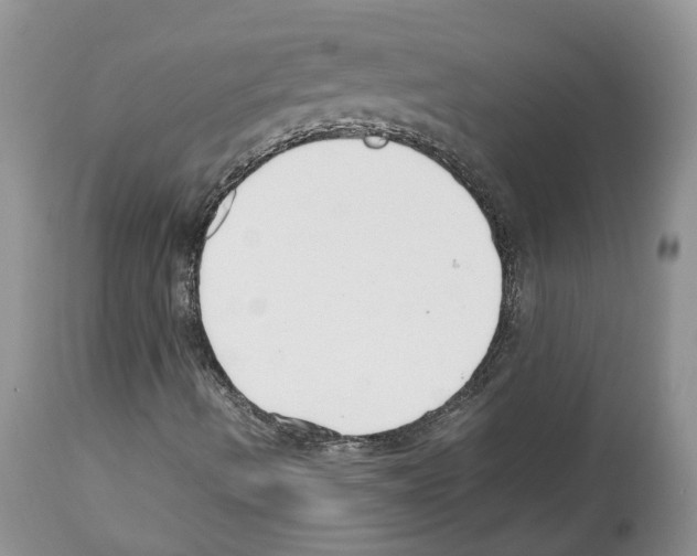 X0000112491490200909281120