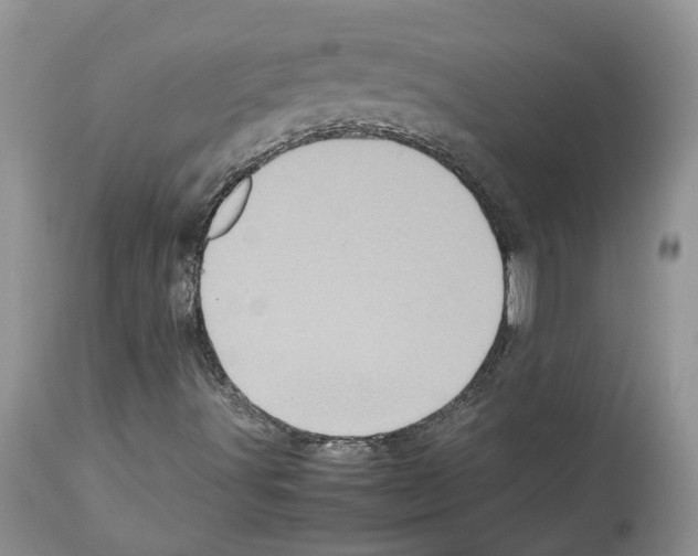 X0000112491491200909281121