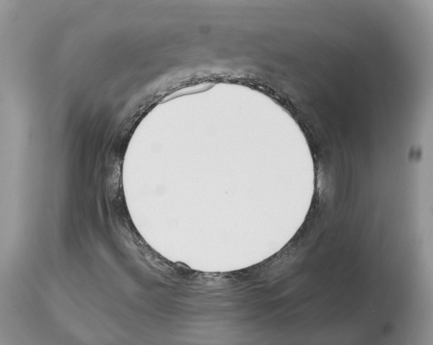 X0000112491492200909281121