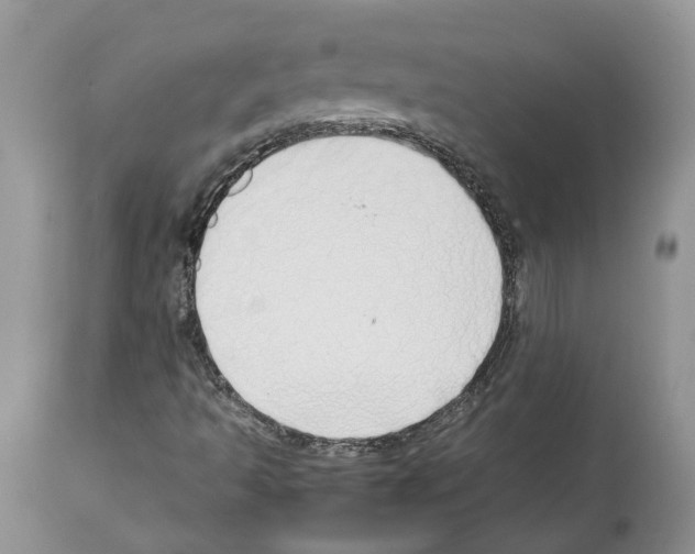 X0000112491493200909281121