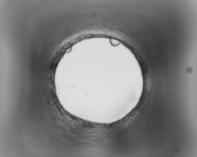 X0000112491494200909281121