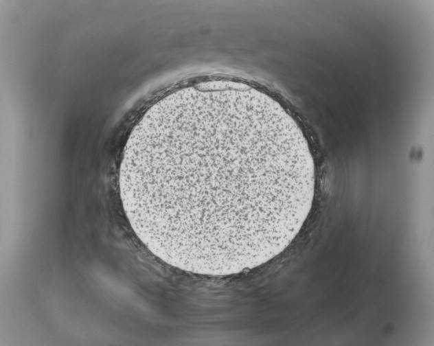 X0000112491495200909281121