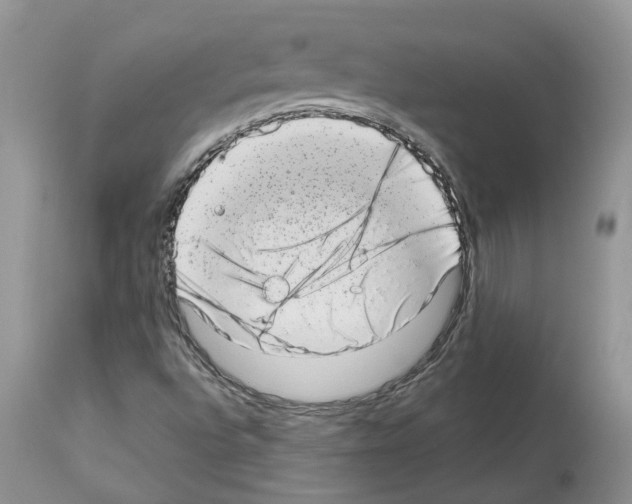 X0000112491496200909281121