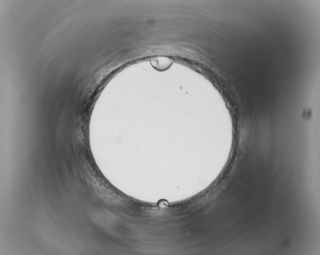 X0000112491497200909281121