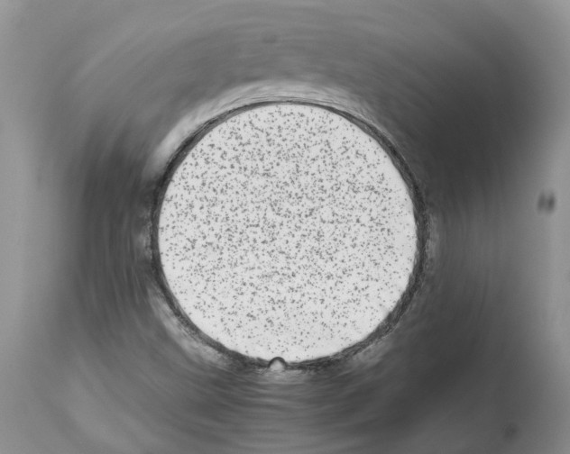 X0000112491499200909281121